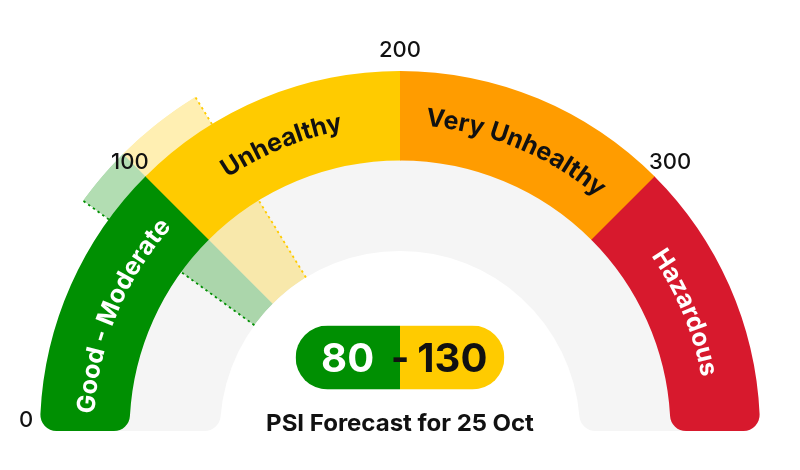 PSI Gauge